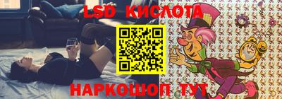 мяу мяу мука Котовск