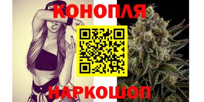 стафф Кохма